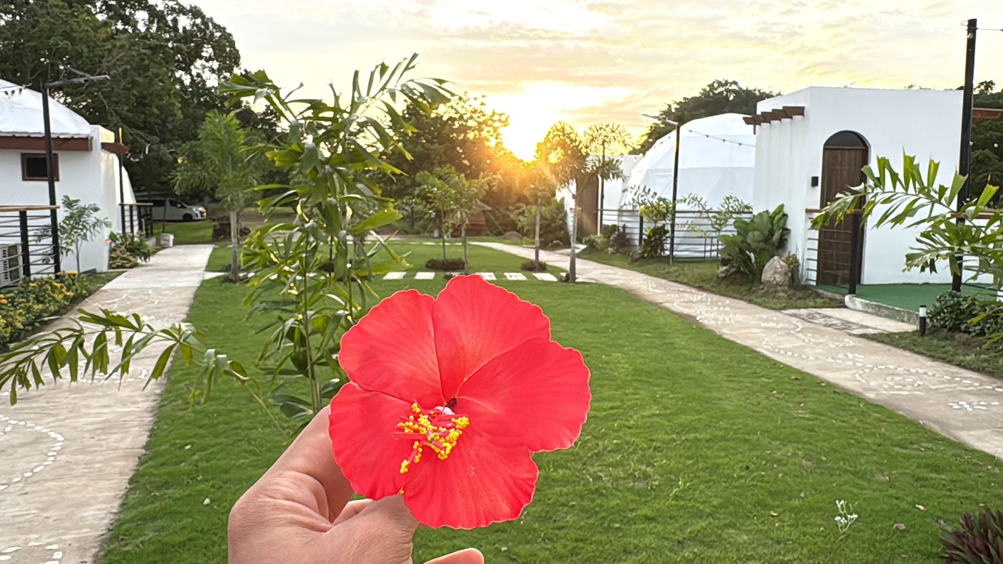 [Original] Si tu mente está bien tu cuerpo también puede sanar, la salud mental es indispensable y más aún cuando no tenemos el acceso o posibilidades de atención integral de un sistema de salud. cuidar nuestra mente con una visión holística nos permite avanzar en los días difíciles. [English] If your mind is well, your body can also heal. Mental health is essential, especially when we do not have access to or the possibility of comprehensive care from a healthcare system. Taking care of our minds with a holistic approach allows us to move forward on difficult days.