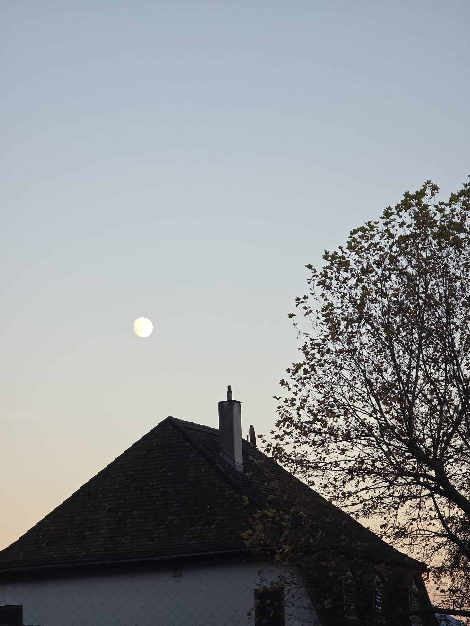 [Original] Cuando miro la luna puedo sentirme seguro, siento que su luz no me discrimina, ella alumbra a todos por igual de manera serena apacible y su energía me transmite paz. no hace distinción si soy Queer o extranjero en el suelo que piso, ella solo me da su luz y su comprensión. [English] When I look at the moon, I feel safe. I feel that its light does not discriminate against me. It shines on everyone equally, serenely and peacefully, and its energy transmits peace to me. It makes no distinction between whether I am queer or a foreigner on the ground I walk on. It simply gives me its light and its understanding.