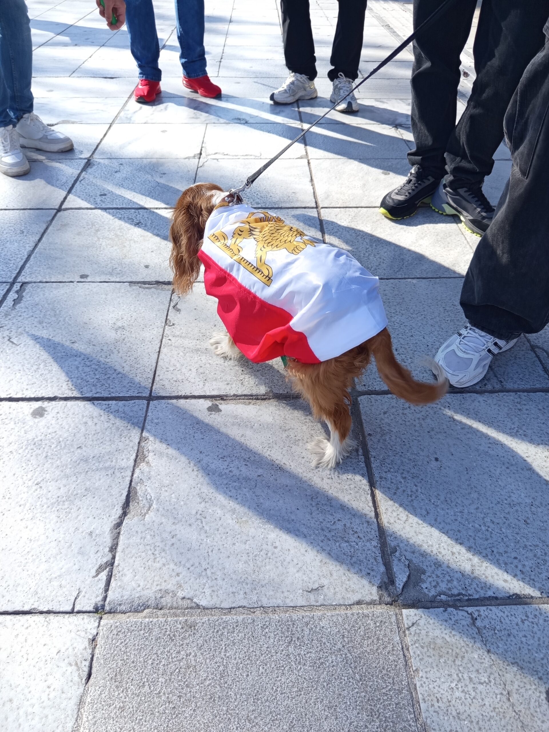 [Original] Soy visto cuando sin importar quien soy, tengo acceso por igual a todos los servicios de salud que reciben personas distintas a mí la salud garantiza, mi vida y el ejercicio de ella con igualdad me devuelve la dignidad. [English] I am seen when, regardless of who I am, I have equal access to all the health services that people other than myself receive. Health guarantees my life and the exercise of it with equality restores my dignity.