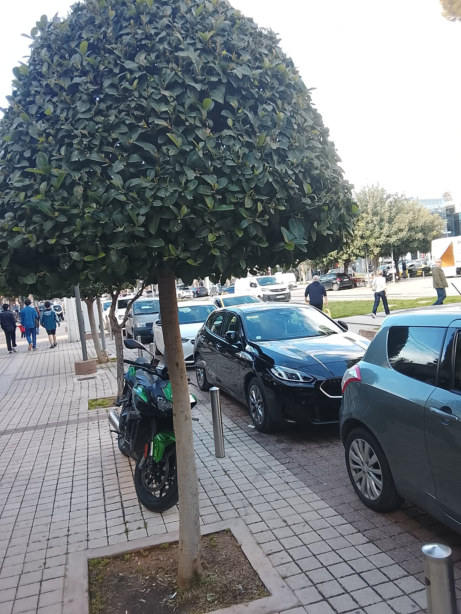 [Original] Soy visto cuando sin importar quien soy, tengo acceso por igual a todos los servicios de salud que reciben personas distintas a mí la salud garantiza, mi vida y el ejercicio de ella con igualdad me devuelve la dignidad. [English] I am seen when, regardless of who I am, I have equal access to all the health services that people other than myself receive. Health guarantees my life and the exercise of it with equality restores my dignity.